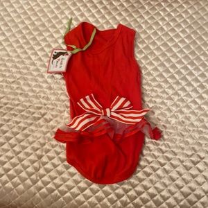 Festive doggie dress